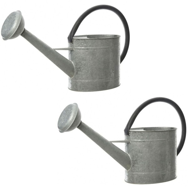 Watering Can Decoris Grey Zinc 1 L