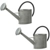 Watering Can Decoris Grey Zinc 1 L