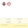 Disinfectant Zotal Fungicide Deodorant (870 ml)