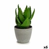 Dekoratīvs Augs Ibergarden Plastmasa Alveju 15 x 23,5 x 15 cm (6 gb.)