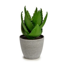 Dekoratīvs Augs Ibergarden Plastmasa Alveju 15 x 23,5 x 15 cm (6 gb.)