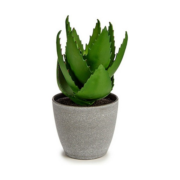 Koristekasvi Ibergarden Muovinen Aloe vera 15 x 23,5 x 15 cm (6 osaa)