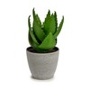 Koristekasvi Ibergarden Muovinen Aloe vera 15 x 23,5 x 15 cm (6 osaa)