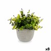 Dekoratīvs Augs Ibergarden Plastmasa Цветы 21 x 20,6 x 21 cm (8 gb.)