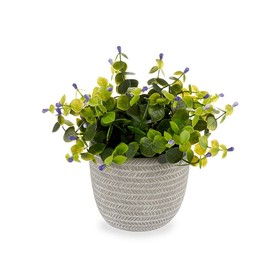 Dekoratīvs Augs Ibergarden Plastmasa Цветы 21 x 20,6 x 21 cm (8 gb.)