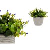 Dekoratīvs Augs Ibergarden Plastmasa Цветы 21 x 20,6 x 21 cm (8 gb.)