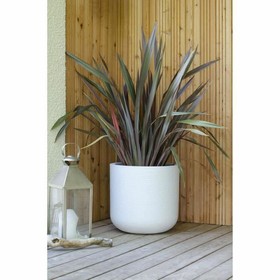 Stiklainis EDA Balta Plastmasinis Apskritas Ø 40 cm