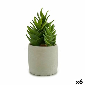 Dekoratīvs Augs Ibergarden Plastmasa Sukulents 12 x 24 x 12 cm (6 gb.)