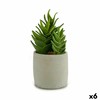 Koristekasvi Ibergarden Muovinen Mehikasvi 12 x 24 x 12 cm (6 osaa)