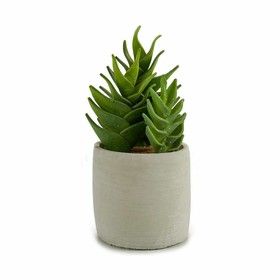 Dekoratīvs Augs Ibergarden Plastmasa Sukulents 12 x 24 x 12 cm (6 gb.)