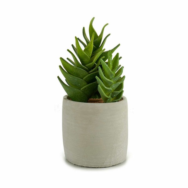 Dekoratīvs Augs Ibergarden Plastmasa Sukulents 12 x 24 x 12 cm (6 gb.)