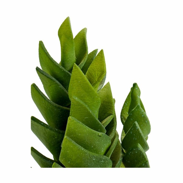 Decorative Plant Ibergarden Plastic Succulent 12 x 24 x 12 cm (6 Units)