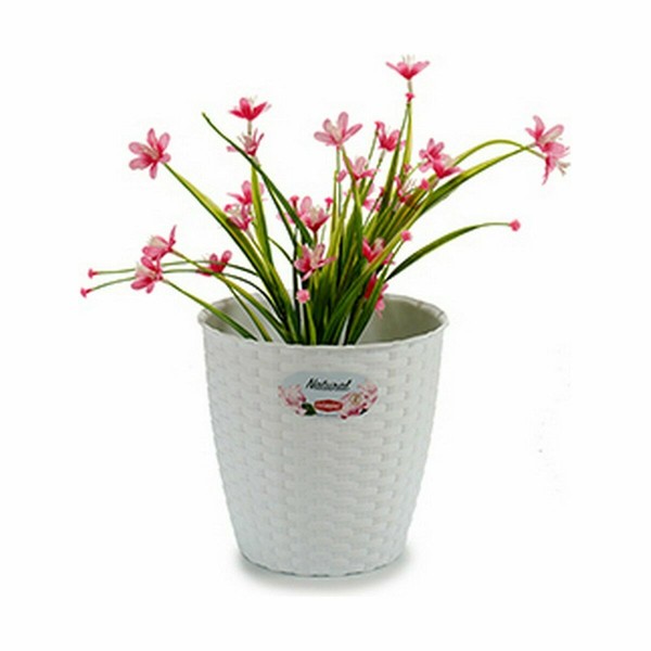 Kasvit Stefanplast Valkoinen Muovinen 19 x 17,5 x 19 cm (12 osaa)
