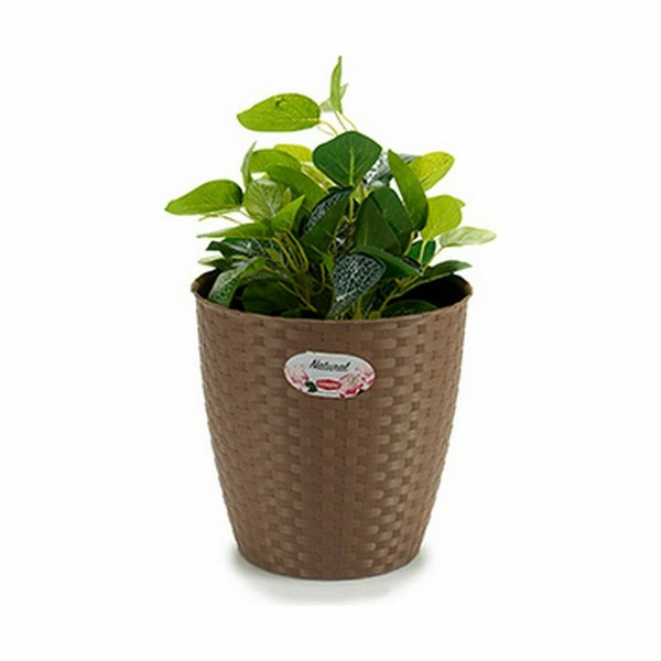 stādītājs Stefanplast Brūns Plastmasa 24 x 22,5 x 24 cm (6 gb.)