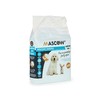 Puppy training pad Mascow Blue White Paper Polyethylene 40 x 60 cm 19 x 28 x 6 cm 19 x 7 x 27,5 cm (10 Units)