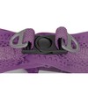 Šuns pakinktai Gloria Trek Star 27-28 cm 31-34,6 cm Purpurinė XS