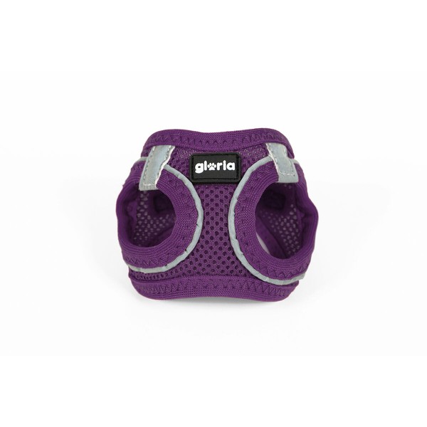 Šuns pakinktai Gloria Trek Star 27-28 cm 31-34,6 cm Purpurinė XS