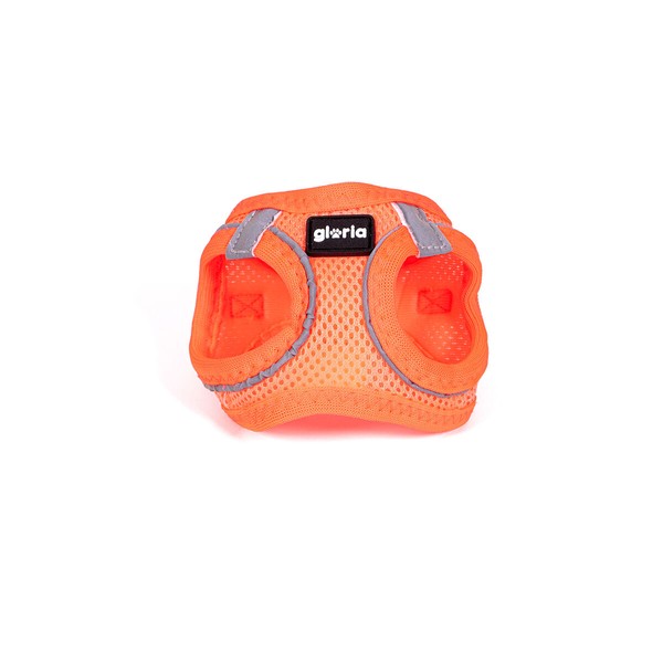 Koiran valjaat Gloria Trek Star 27-28 cm 31-34,6 cm Oranssi XS