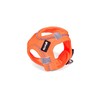 Koiran valjaat Gloria Trek Star 27-28 cm 31-34,6 cm Oranssi XS