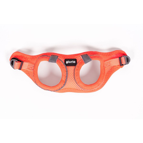 Koiran valjaat Gloria Trek Star 27-28 cm 31-34,6 cm Oranssi XS