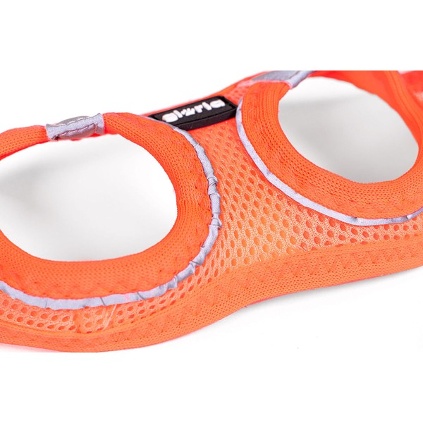 Koiran valjaat Gloria Trek Star 27-28 cm 31-34,6 cm Oranssi XS