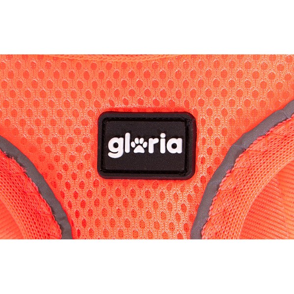 Koiran valjaat Gloria Trek Star 27-28 cm 31-34,6 cm Oranssi XS