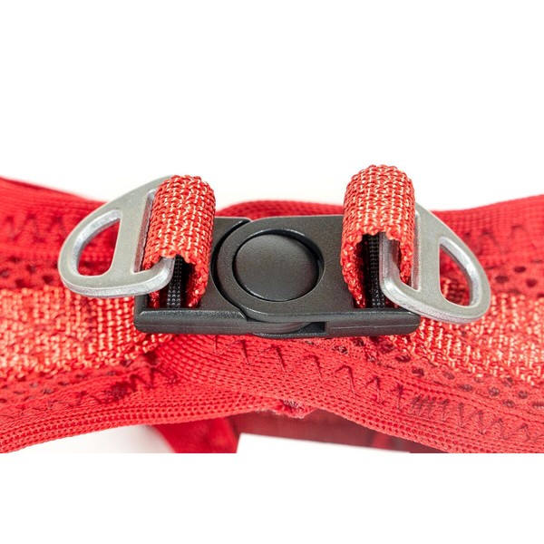Suņu drošības siksna Gloria Trek Star 27-28 cm 31-34,6 cm Sarkans XS