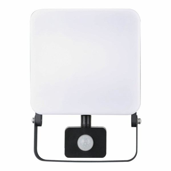 Užtvindanti šviesa / projektoriaus šviesa EDM 70422 Frameless Juoda F 50 W 4100 Lm (6000 K)