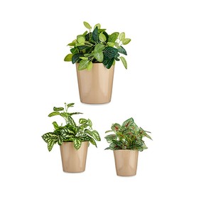 Katlu komplekts Ibergarden Bēšs Māls Cónica Ø 14 cm Ø 22 cm Ø 17 cm 22 x 21 x 22 cm 3 Daudzums