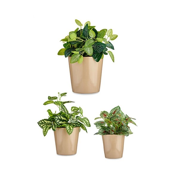 Katlu komplekts Ibergarden Bēšs Māls Cónica Ø 14 cm Ø 22 cm Ø 17 cm 22 x 21 x 22 cm 3 Daudzums