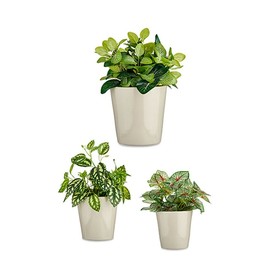 Katlu komplekts Ibergarden Pelēks Māls Cónica Ø 14 cm Ø 22 cm Ø 17 cm 22,5 x 21 x 22,5 cm 3 Daudzums