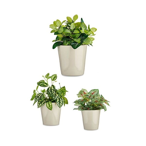 Katlu komplekts Ibergarden Pelēks Māls Cónica Ø 14 cm Ø 22 cm Ø 17 cm 22,5 x 21 x 22,5 cm 3 Daudzums