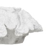 Dekoratyvinė figūrėlė Balta Koralas 23 x 22 x 11 cm