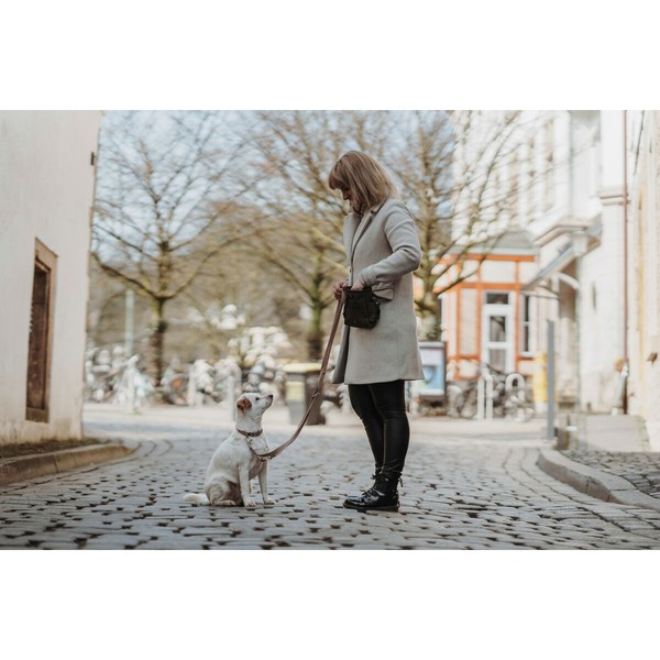 Koera kaelarihm Hunter Inari Beež M 30-45 cm | Osta veebist — Megaluks