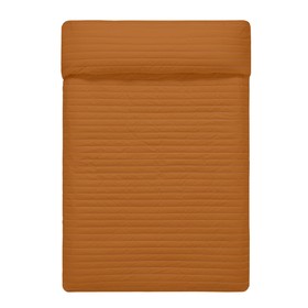 Kaksipuolinen päiväpeitto HappyFriday Basic Dash Oranssi 270 x 260 cm
