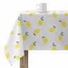 Dėmėms atspari staltiesė Belum Said Spalvotas 250 x 150 cm
