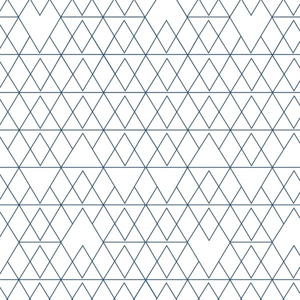 Dėmėms atspari derva dengta staltiesė Belum 220-48 Spalvotas 150 x 150 cm