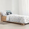 Ziemeļu pārvalks Harry Potter Hogwarts Nordic  Daudzkrāsains 175 Vītnes buklets 200 x 200 cm Gulta 120
