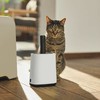 Dustpan Rotho My Pet White Plastic