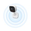 IP camera TP-Link C100