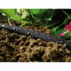 Drip pipe Cellfast 30 m Ø 12,5 mm Drip watering
