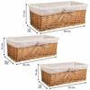 Krepšių rinkinys Alexandra House Living vytelių Gluosnio mediena 25 x 17 x 48 cm 42 x 20,5 x 15 cm 35 x 16 x 14 cm 3 Dalys