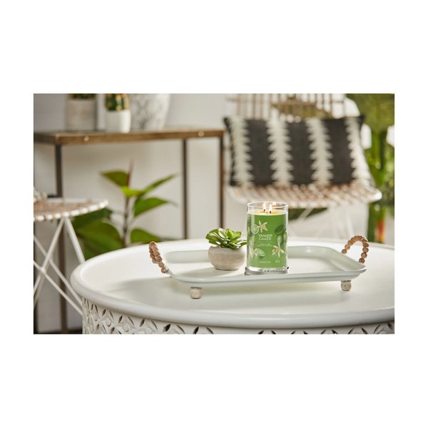 Scented Candle Yankee Candle Vanilla Lime  567 g