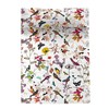 Bedspread (quilt) HappyFriday HF Birds of paradise Multicolour 270 x 260 cm