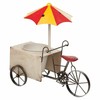 stādītājs Alexandra House Living Tricycle Dzelzs 16 x 37 x 34 cm