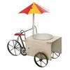 stādītājs Alexandra House Living Tricycle Dzelzs 16 x 37 x 34 cm