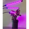 20 LED-i 3 tk taimede kasvuks Gardlov 19242
