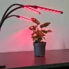 Lamppu 20 LED 3 kpl kasvien kasvuun Gardlov 19242