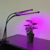 Lamp 20 LED 3pcs for plant growth Gardlov 19242