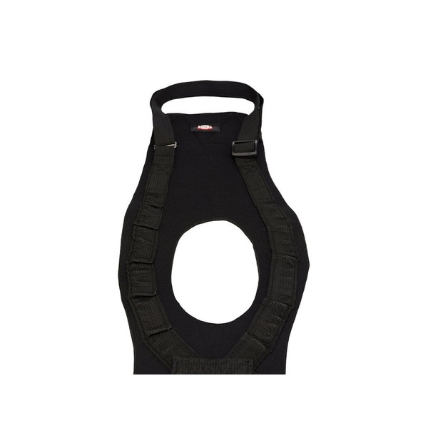 Dog walker Trixie